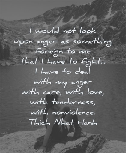 anger quotes would not look upon something foreign that have fight thich nhat hanh wisdom woman sitting water nature