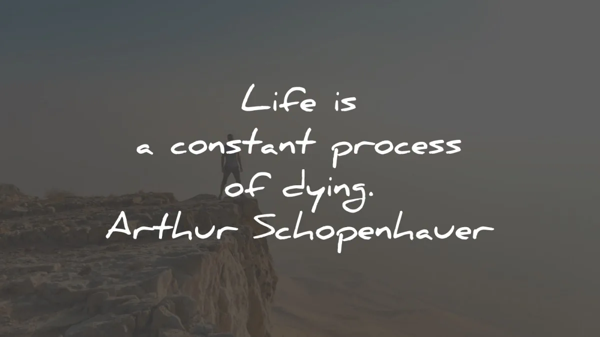 arthur schopenhauer quotes life constant process wisdom