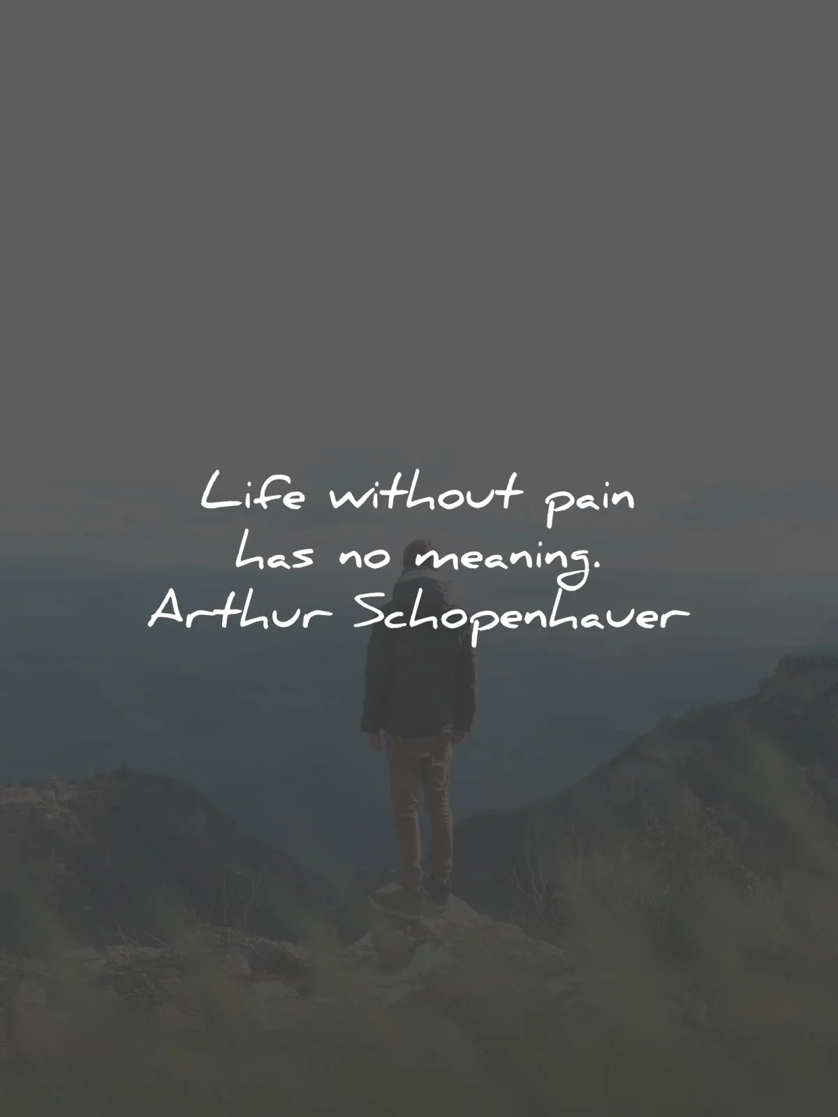 arthur schopenhauer quotes life without pain meaning wisdom
