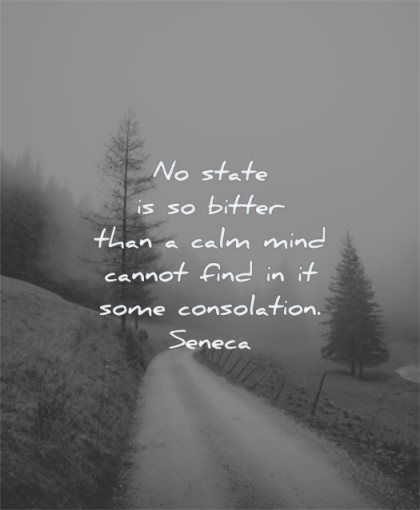 calm quotes state bitter mind cannot find some consolation seneca wisdom nature path road trees