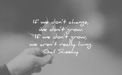change quotes dont grow arent really living gail sheehy wisdom
