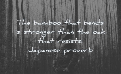 change quotes bamboo that bends stronger oak resists japanese proverb wisdom man nature