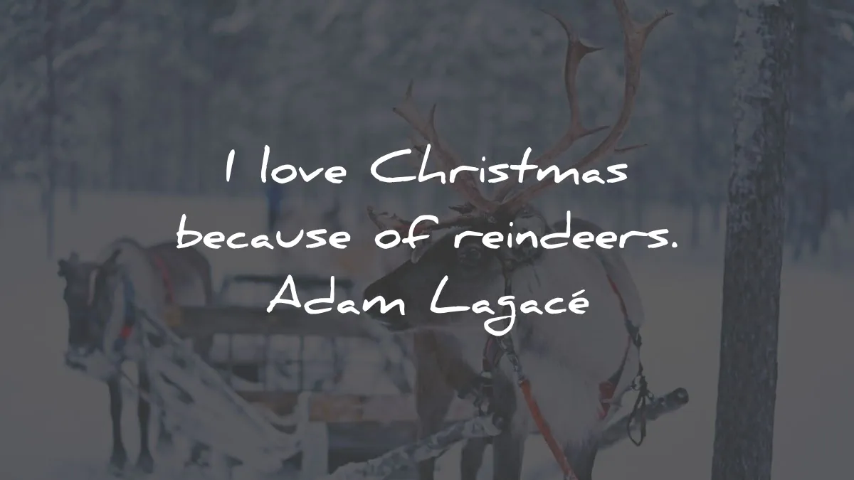 christmas quotes love because of reindeers adam lagace wisdom