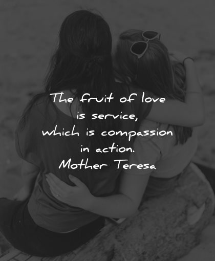 compassion quotes fruit love service which action mother teresa wisdom