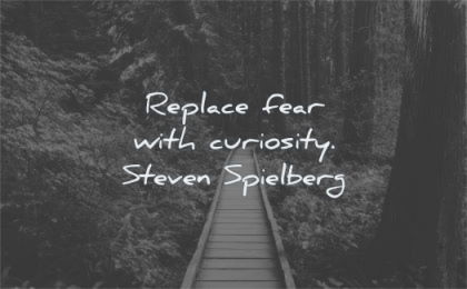 creativity quotes replace fear with curiosity steven spielberg wisdom path forest