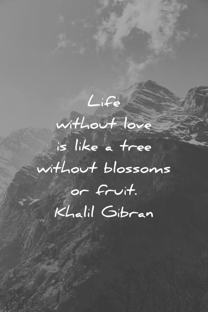 deep quotes life without love is like a tree without blossoms or fruit kahlil gibran wisdom quotes