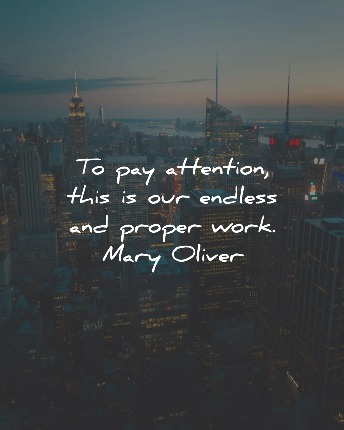 deep quotes pay attention endless proper work mary oliver wisdom