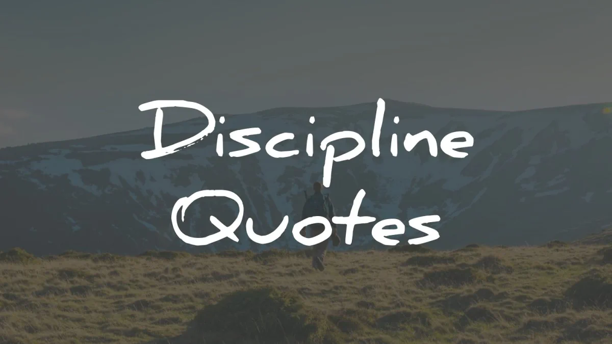 discipline quotes wisdom