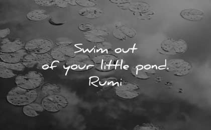 dream quotes swim out little pond rumi wisdom water lake