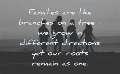 family quotes families like branches tree grow different directions yet our roots remain one wisdom silhouette