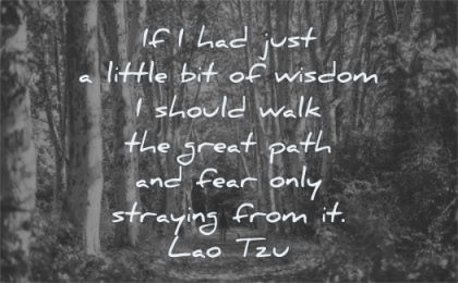 fear quotes little wisdom should walk great path only straying from lao tzu wisdom forest