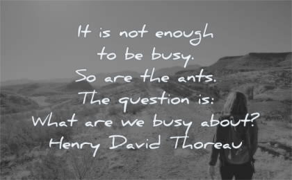 focus quotes enough busy ants question what about henry david thoreau wisdom woman walk