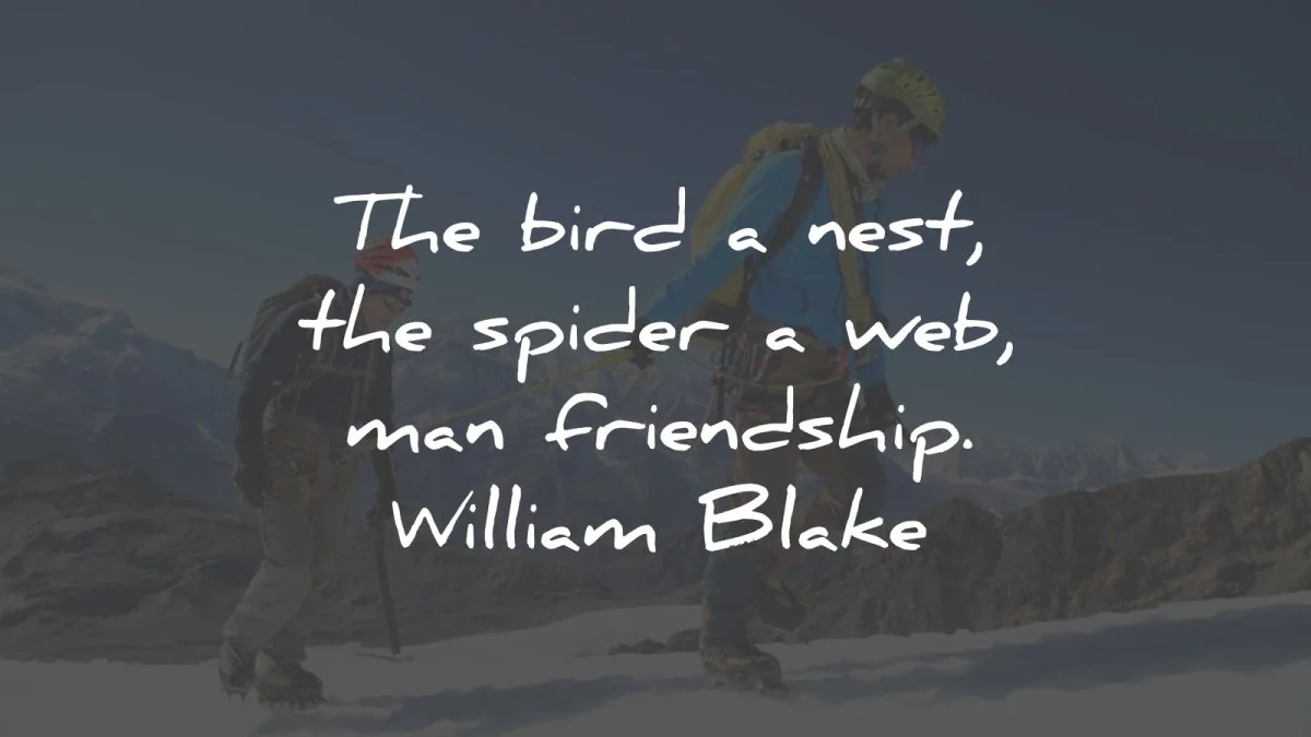 friendship quotes bird nest spider man william blake wisdom
