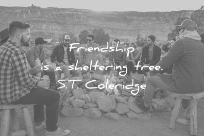 friendship quotes sheltering tree samuel taylor coleridge wisdom