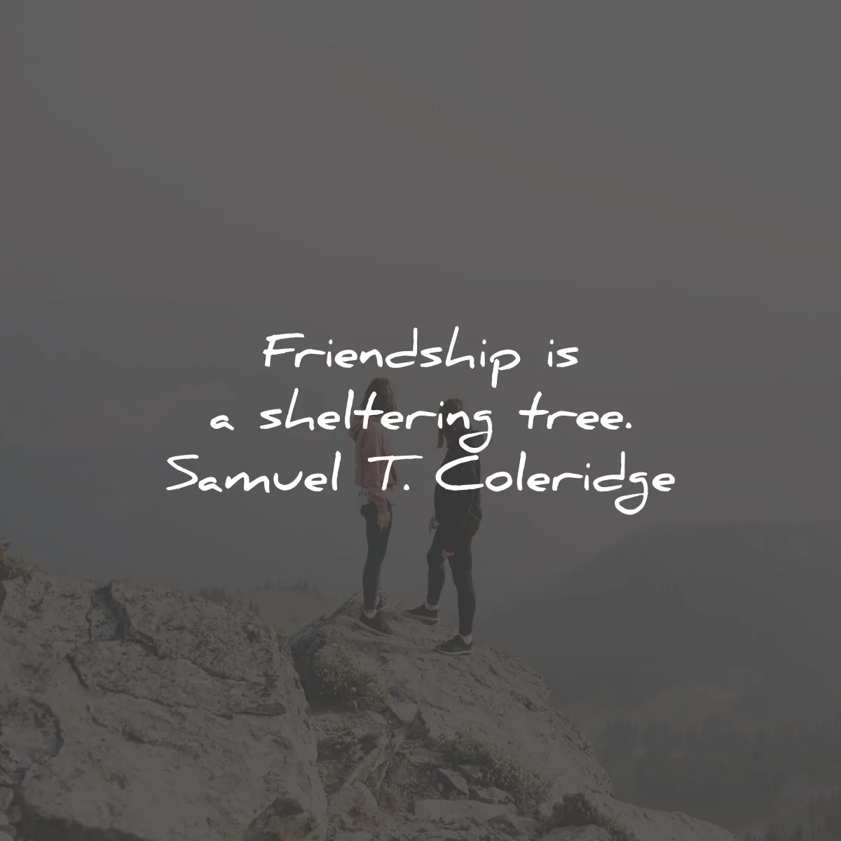 friendship quotes sheltering tree samuel taylor coleridge wisdom