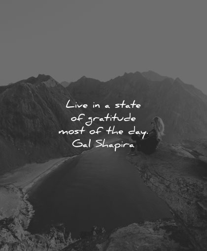 gal shapira quotes live state gratitude wisdom