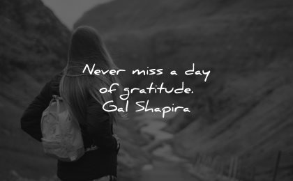 gal shapira quotes never miss day wisdom