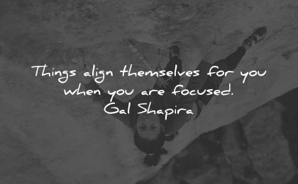 gal shapira quotes things align themselves wisdom