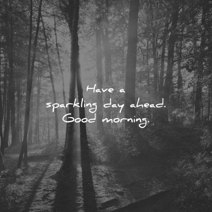 good morning quotes have sparkling day ahead wisdom nature trees forest