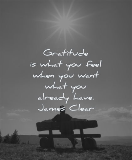 gratitude quotes what you feel when want already have james clear wisdom man sitting solitude sun sky