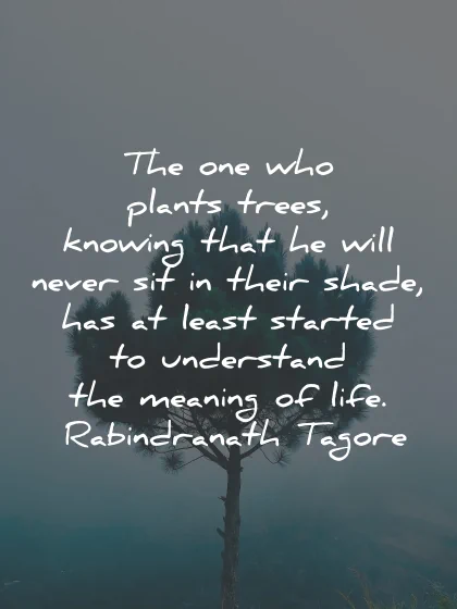 how successful life plants trees rabindranath tagore wisdom quotes