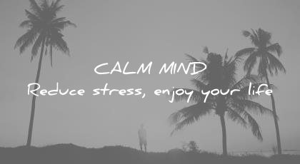 how to learn faster calm mind reduce stress enjoy your life wisdom quotes