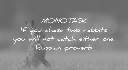 how to learn faster monotask chase two rabbits will not catch either one russian proverb wisdom quotes