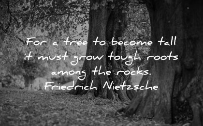 hurt quotes tree become tall must grow tough roots among rocks friedrich nietzsche wisdom nature