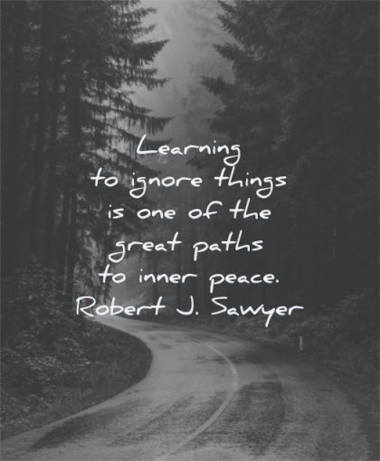 inner peace quotes learning ignore things one great paths robert j sawyer wisdom road rain nature trees