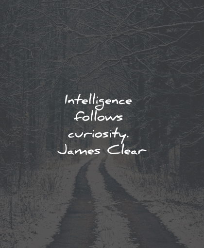 intelligence quotes follows curiosity james clear wisdom
