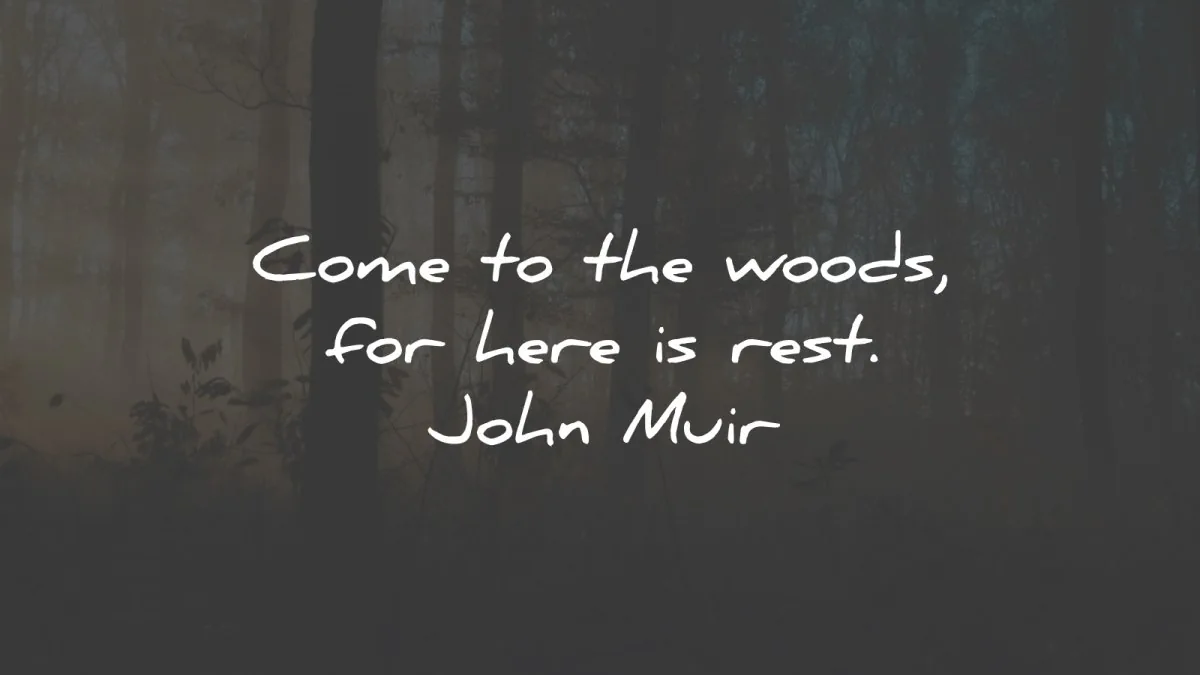 john muir quotes come woods here rest wisdom