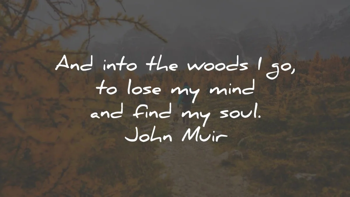 john muir quotes into woods lose mind find soul wisdom