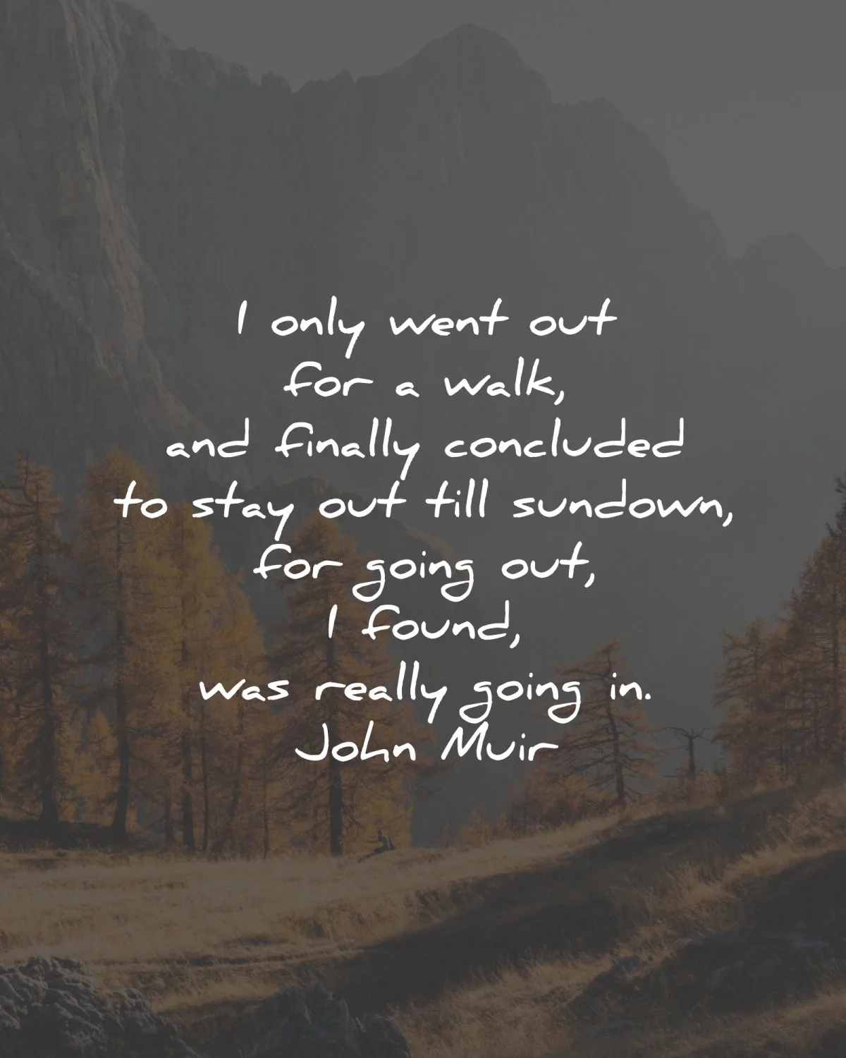 john muir quotes went out walk concluded sundown wisdom