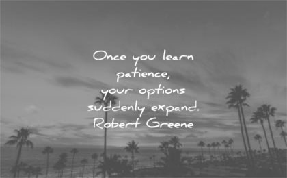 learning quotes once learn patience your options suddenly expand robert greene wisdom palm tree sky