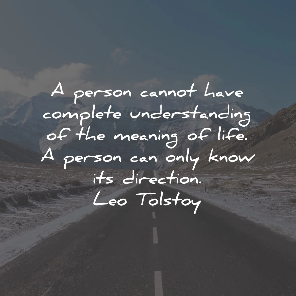 leo tolstoy quotes person cannot have understanding wisdom