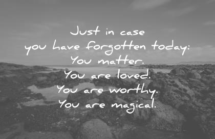 love quotes just in case you have forgotten today you matter you are loved you are worthy you are magical wisdom quotes