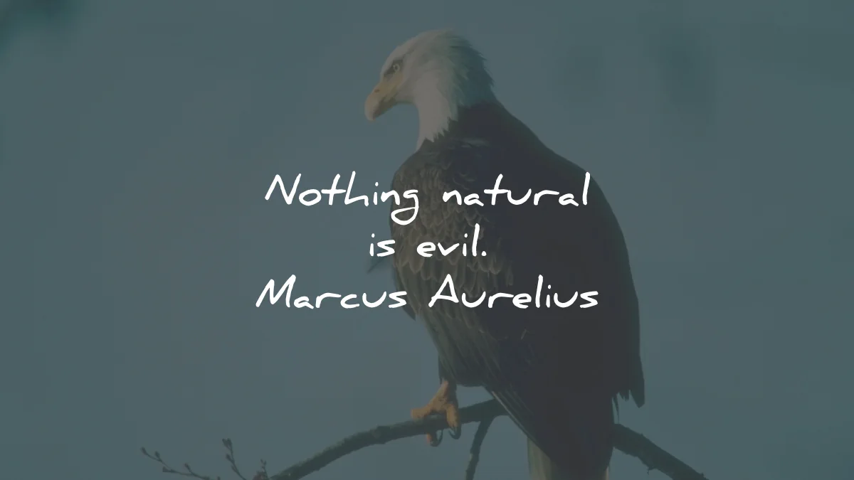 marcus aurelius quotes nothing natural evil wisdom