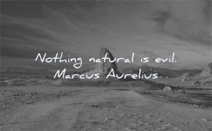 marcus aurelius quotes nothing natural evil wisdom rock nature