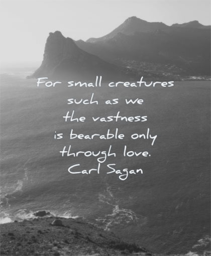 meaningful quotes small creatures such vastness bearable only through love carl sagan wisdom nature sea water mountains