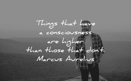 mindfulness quotes things that have consciousness higher those dont marcus aurelius wisdom