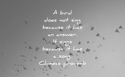 music quotes bird does not sing because has an answer sings song chinese proverb wisdom