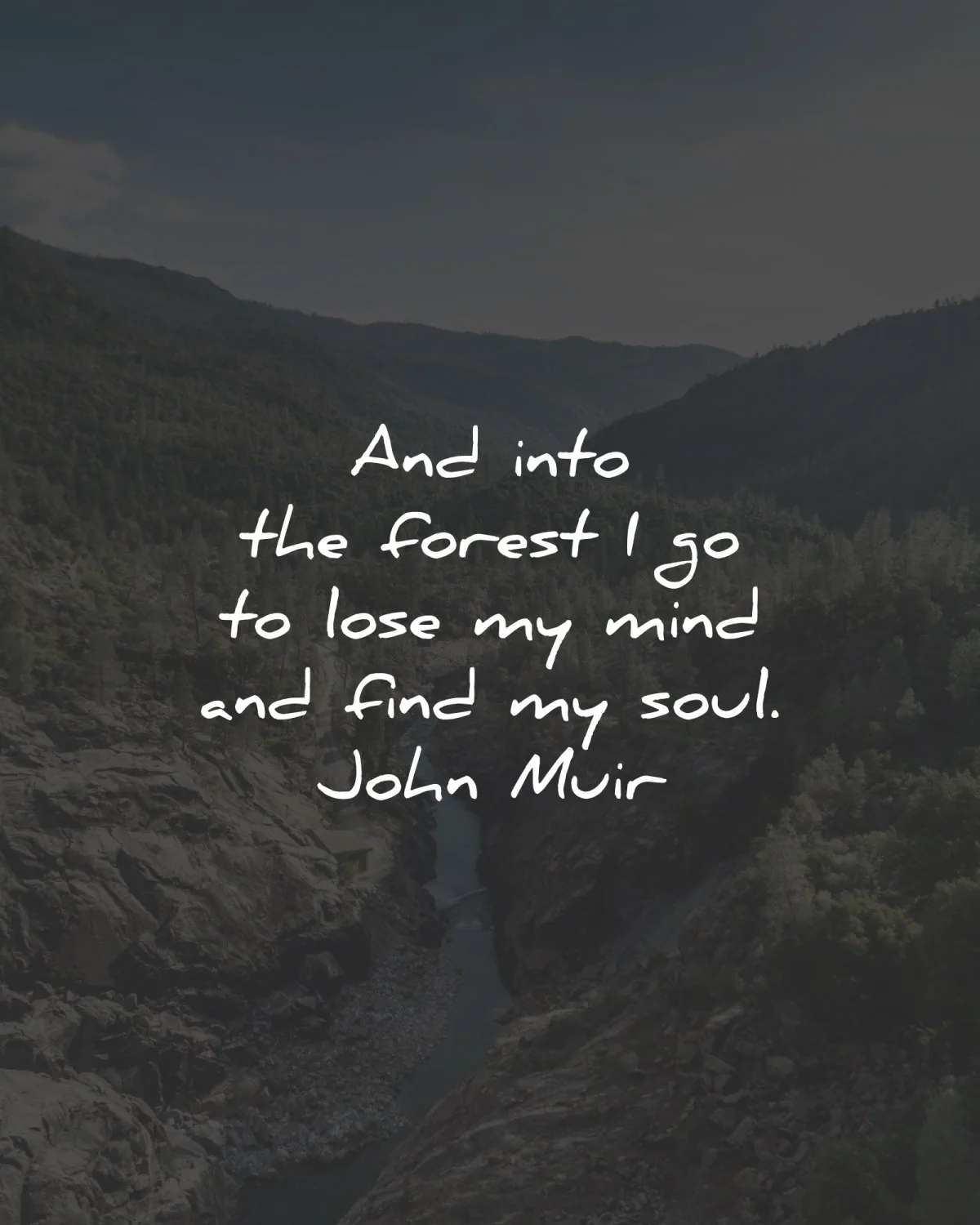 nature quotes forest lose mind soul john muir wisdom