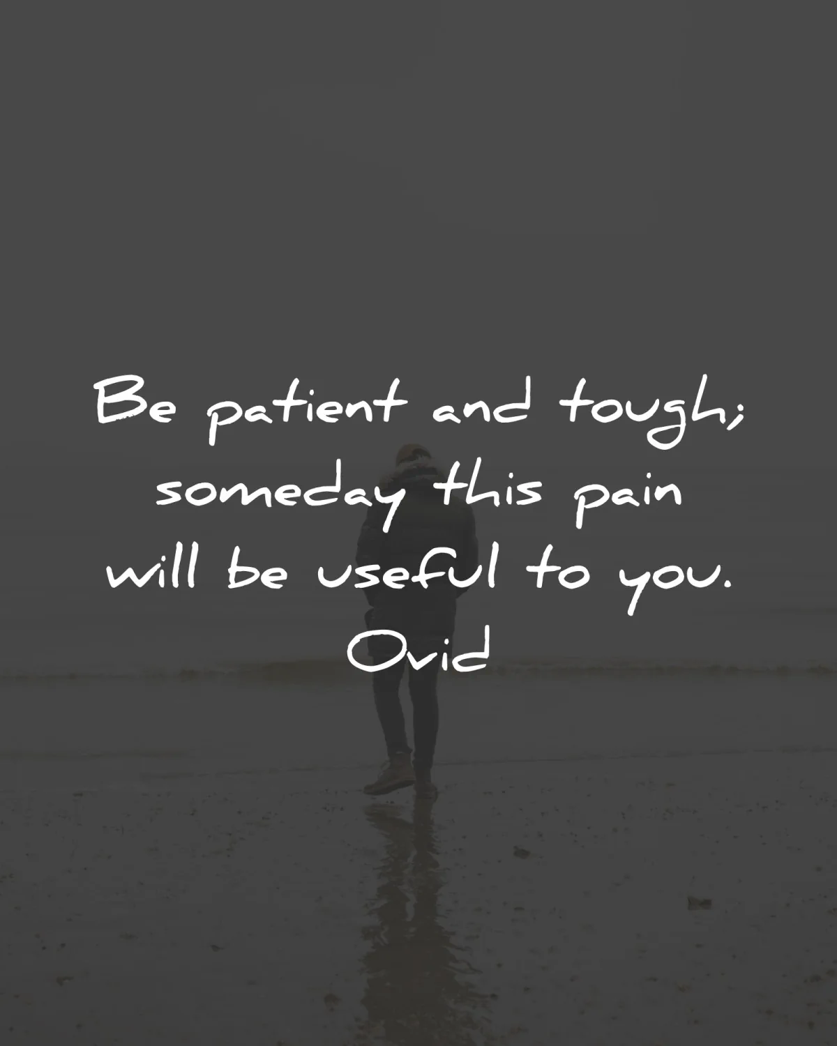 pain quotes patient tough somebody useful ovid wisdom