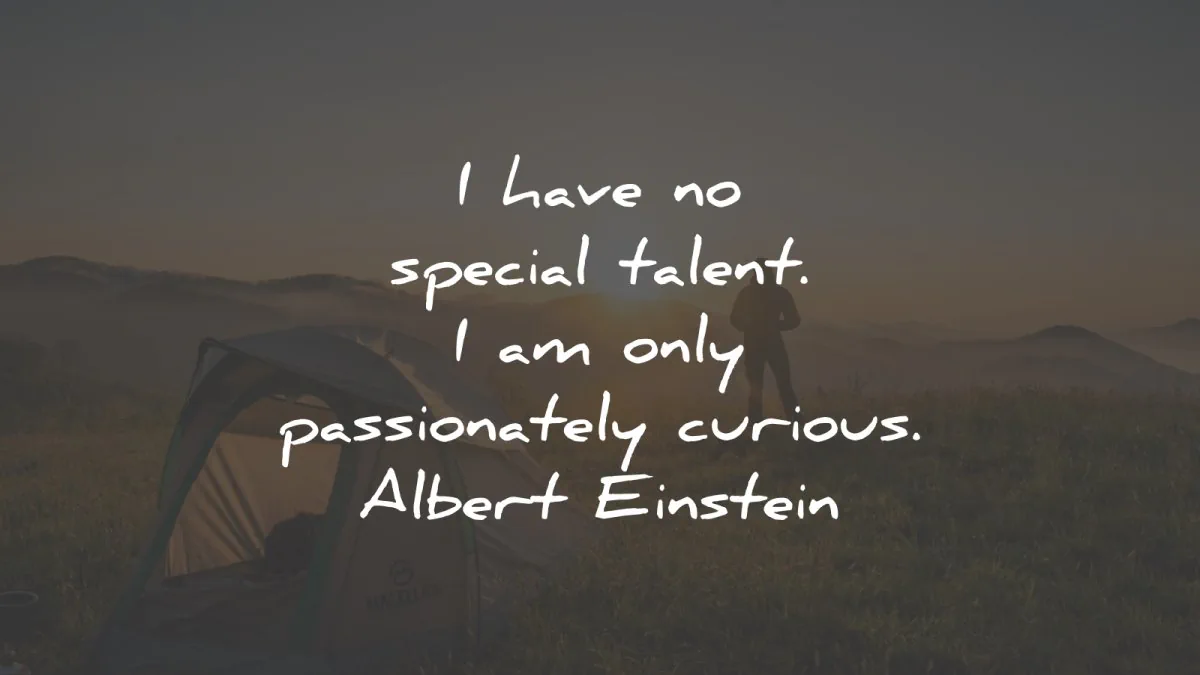 passion quotes have special talent curious albert einstein wisdom