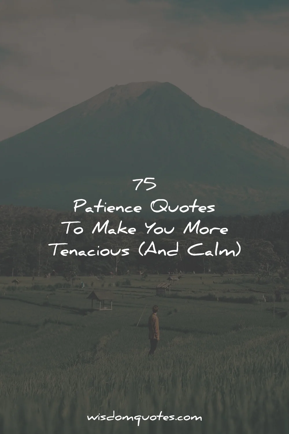 patience quotes make more tenacious calm wisdom