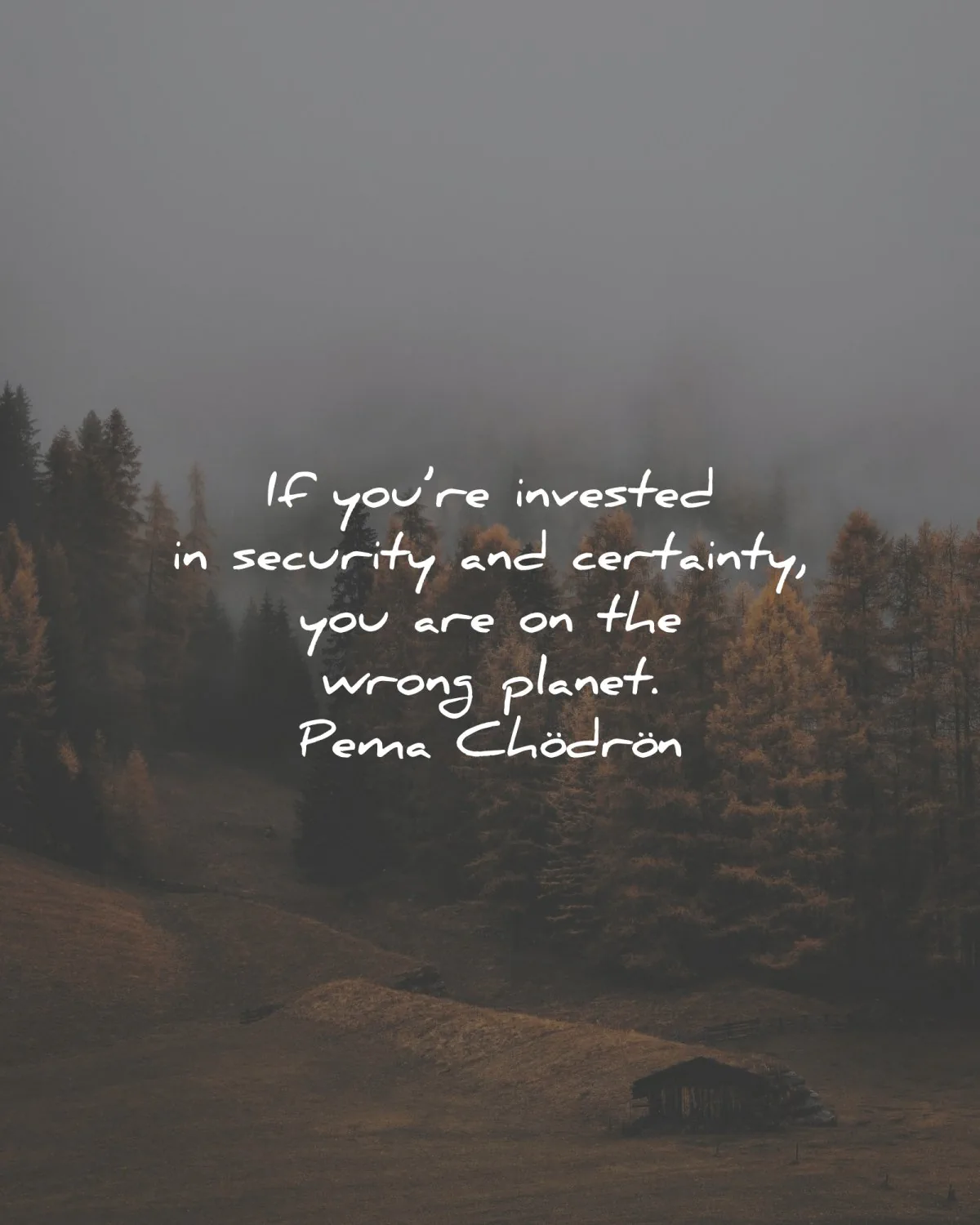 pema chodron quotes invested security certainty wrong planet wisdom