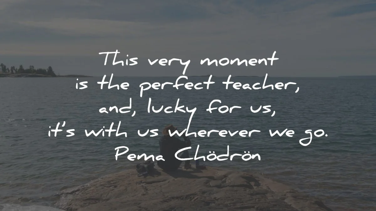 pema chodron quotes moment perfect teacher wisdom