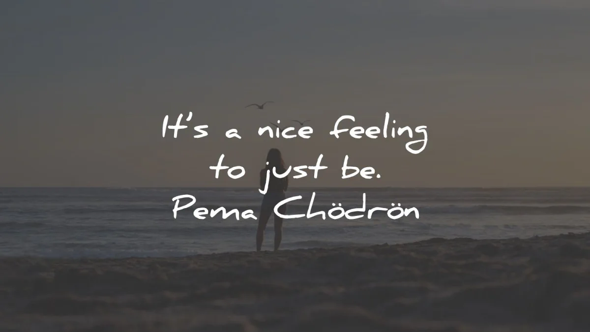 pema chodron quotes nice feeling just be wisdom