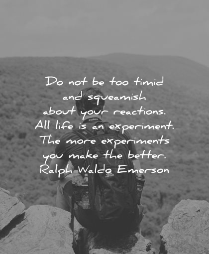 risk quotes timid squeamish about reactions life experiment ralph waldo emerson wisdom