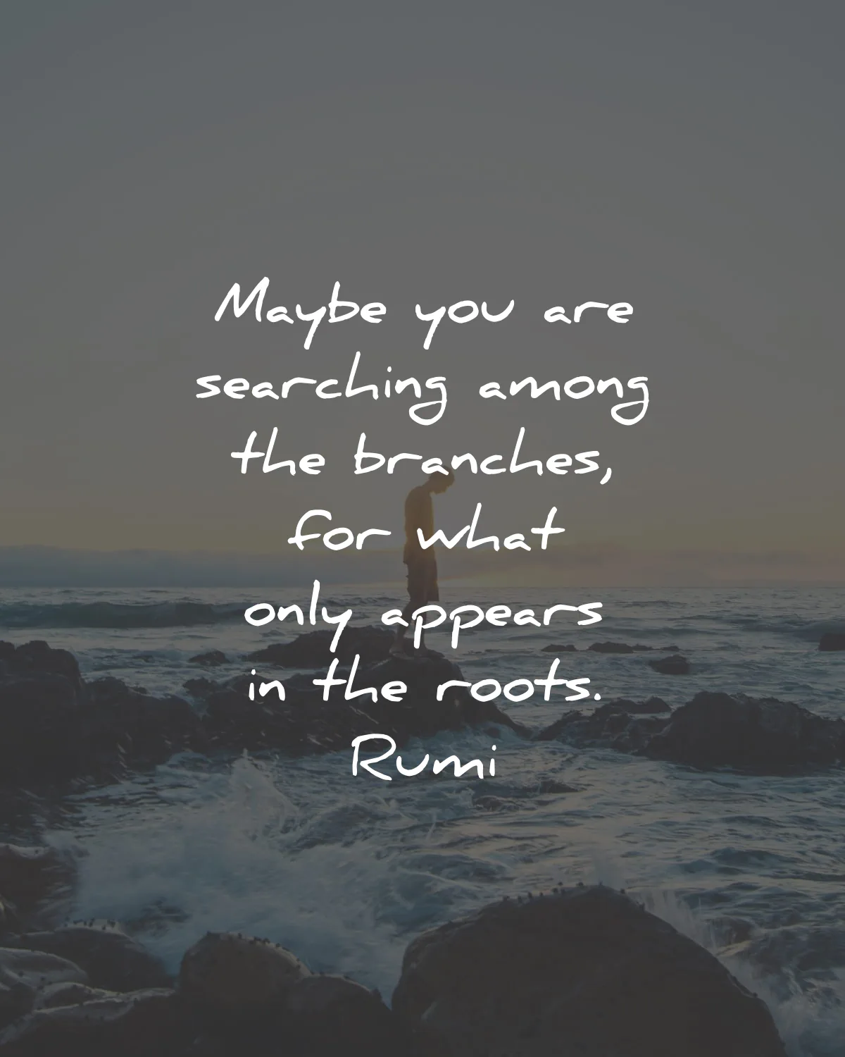 rumi quotes maybe searching branches roots wisdom